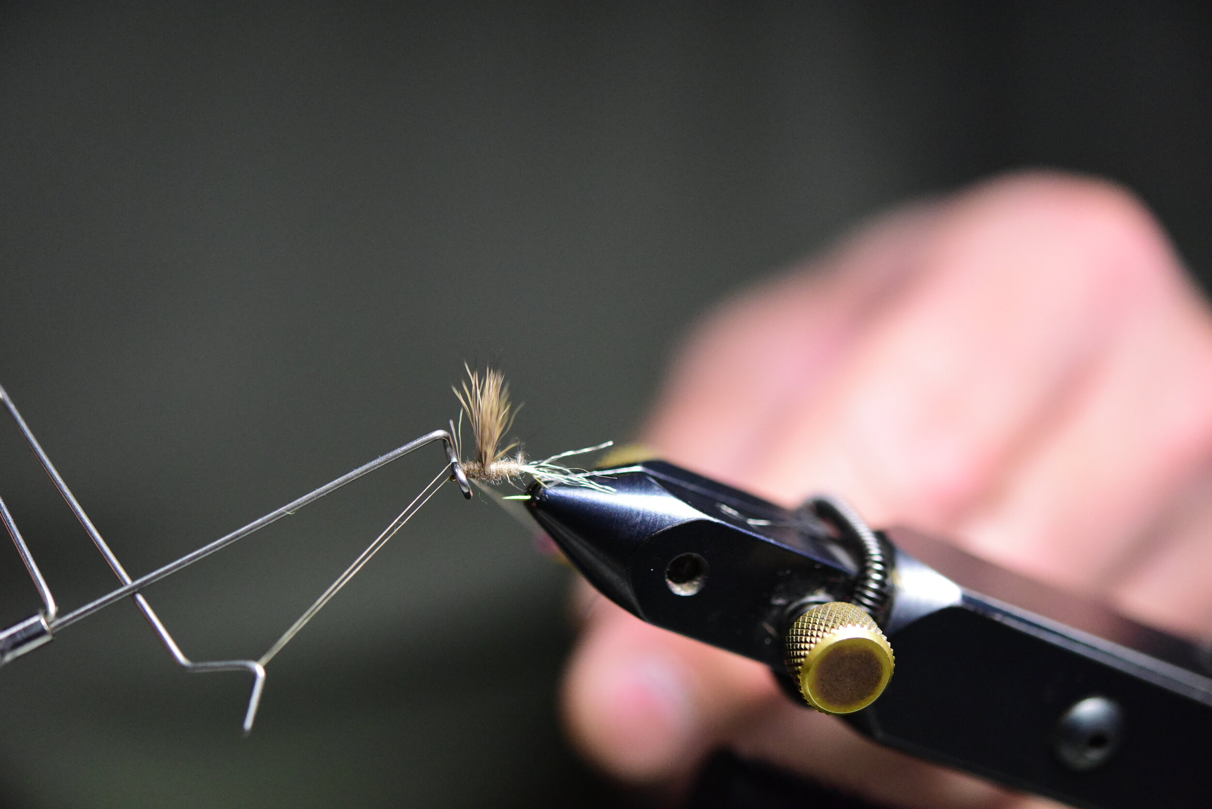 Fly Tying Expo — Saint Vrain Anglers TU
