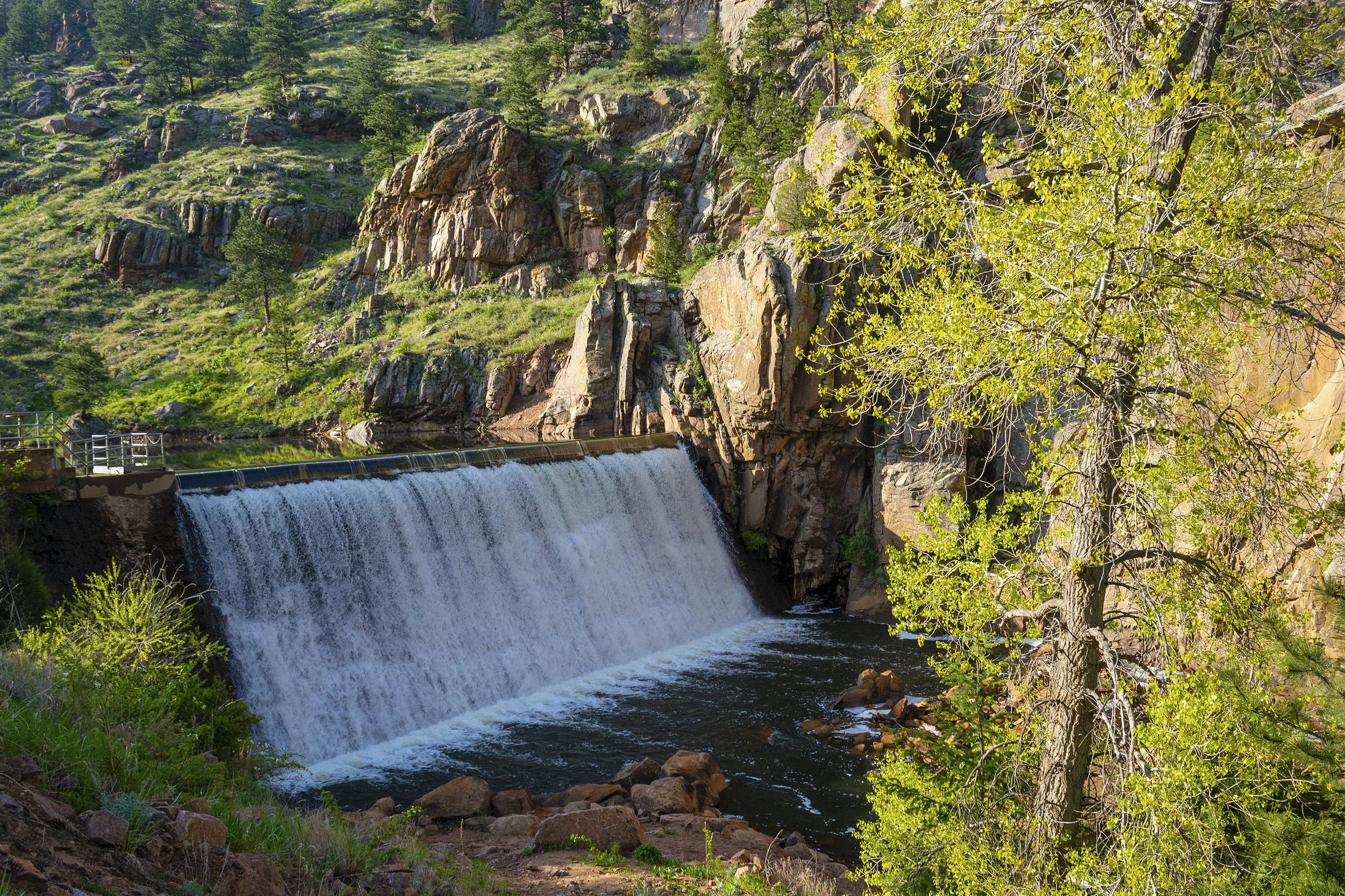 November Conservation Report