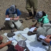 Macro Invertebrate Sampling