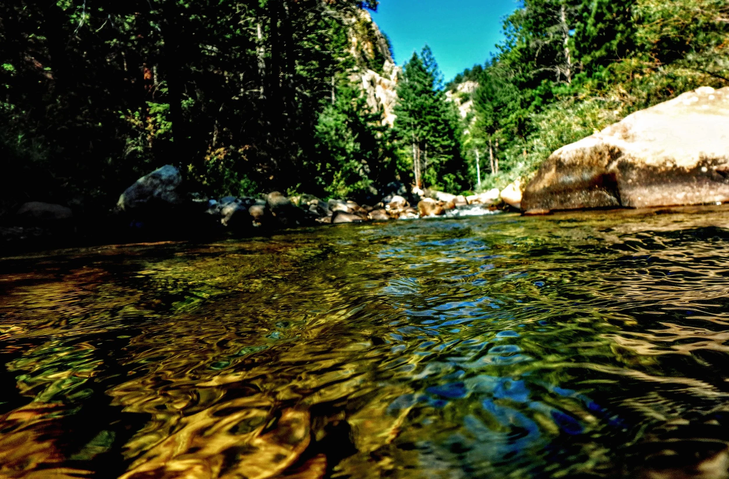 P8310144-EDIT.jpg