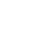 ssstransparentwhite small.png