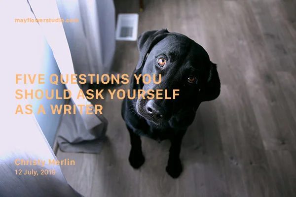 Questions banner.jpg
