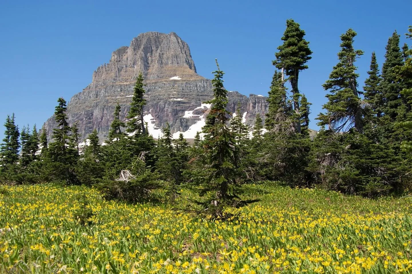 We are officially in the heat of summer, but much of Montana just had a quick blast of winter. Going-to-the-Sun Road just opened for the season, and less than a week later, it&rsquo;s closed again from 10+ inches of snowfall. Not uncommon, but certai