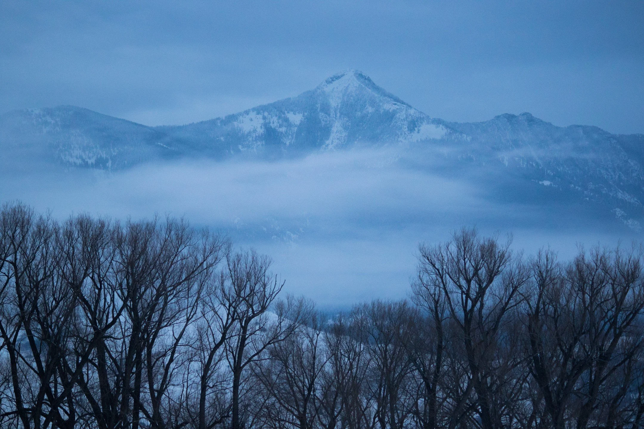 Happy New Year everyone! We are about to get our first round of negative temps here in Montana this weekend.
Hoping to get more processing done on last year's images and looking forward to capturing more! For now you can still find my photos on Faceb