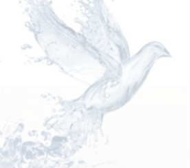 Baptism - Sat. @ 6 PM or Sun. @ 11:30 AM