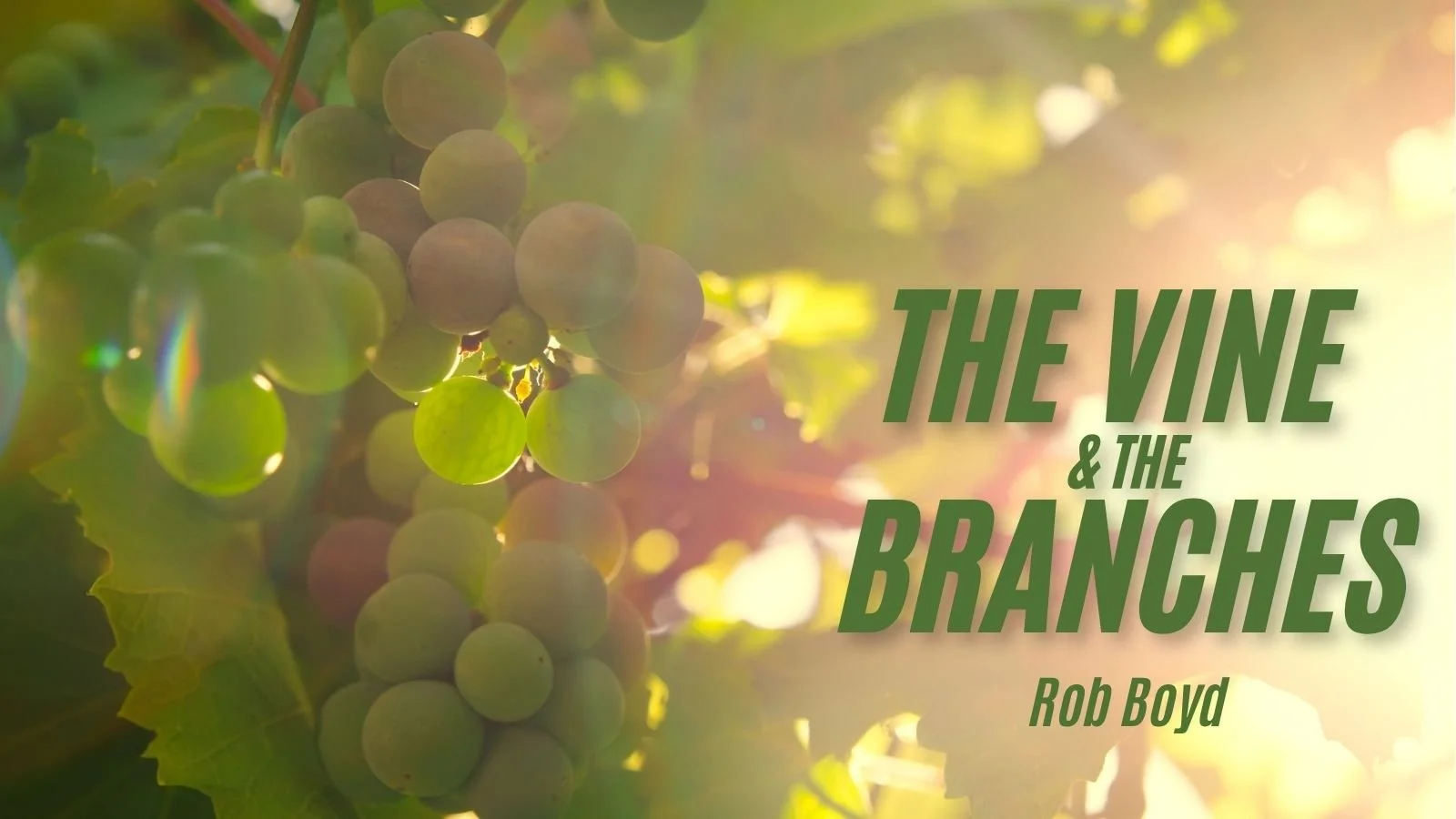 Rob Boyd- "The Vine & The Branches"- June 14, 2026