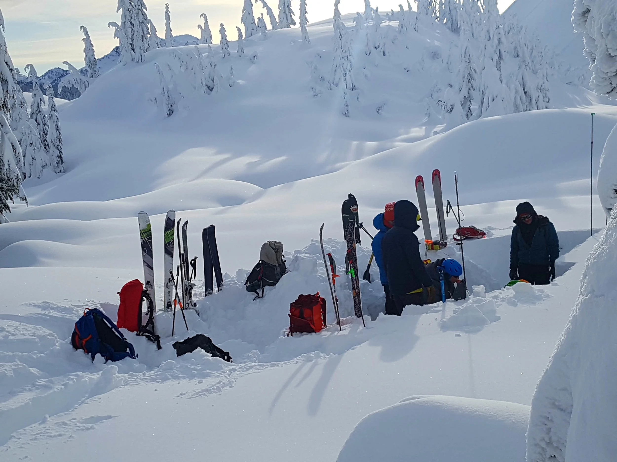 Avy ed pic stevens.jpg