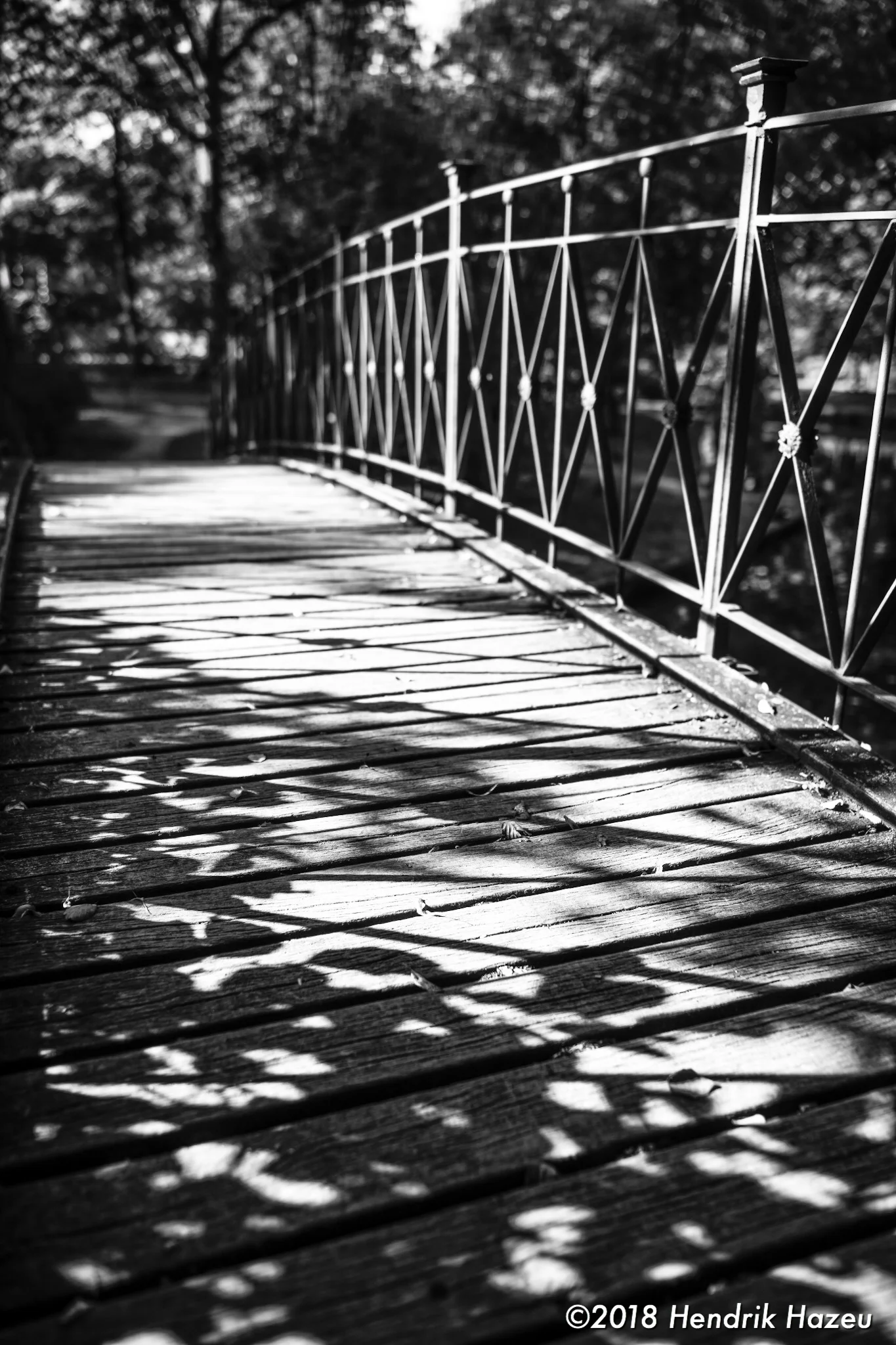A0768A4A-7AEF-491F-ADF9-7D6AD198A0ED.jpeg
