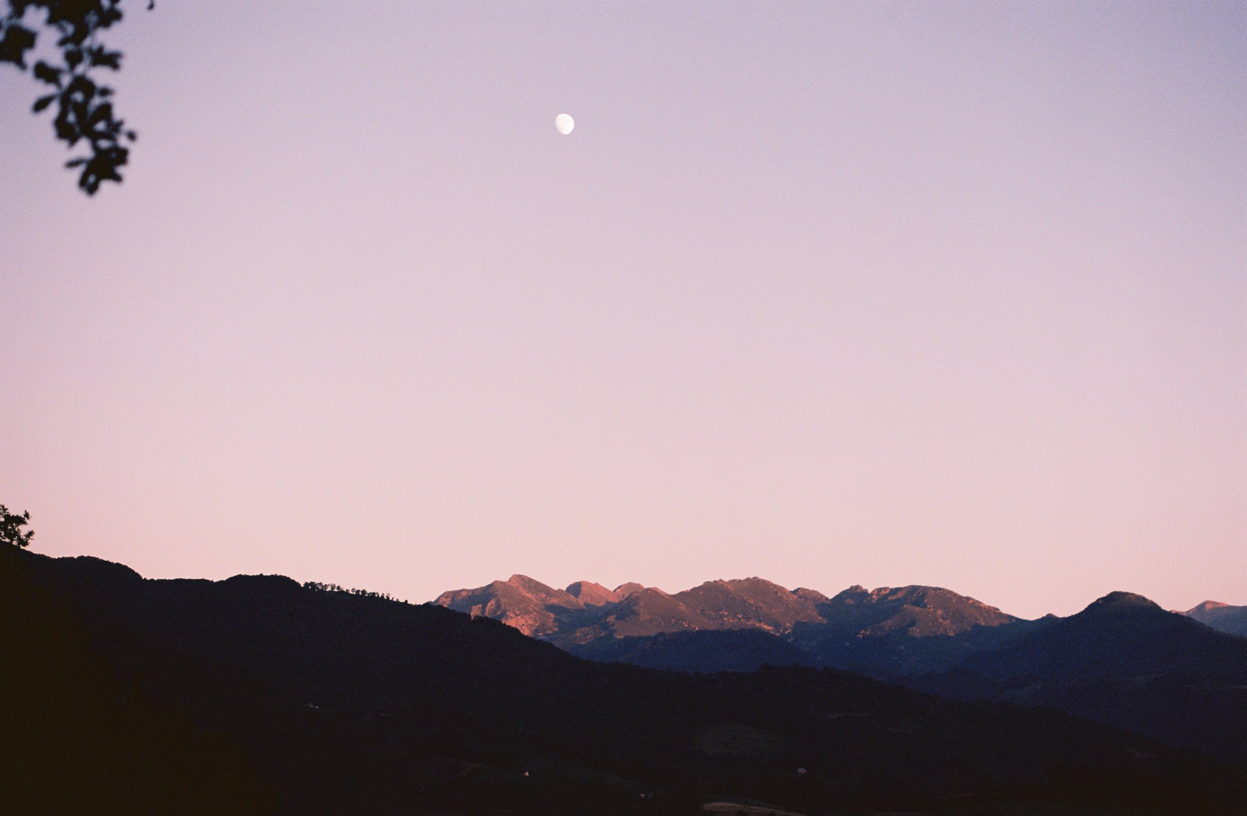 000026.JPG