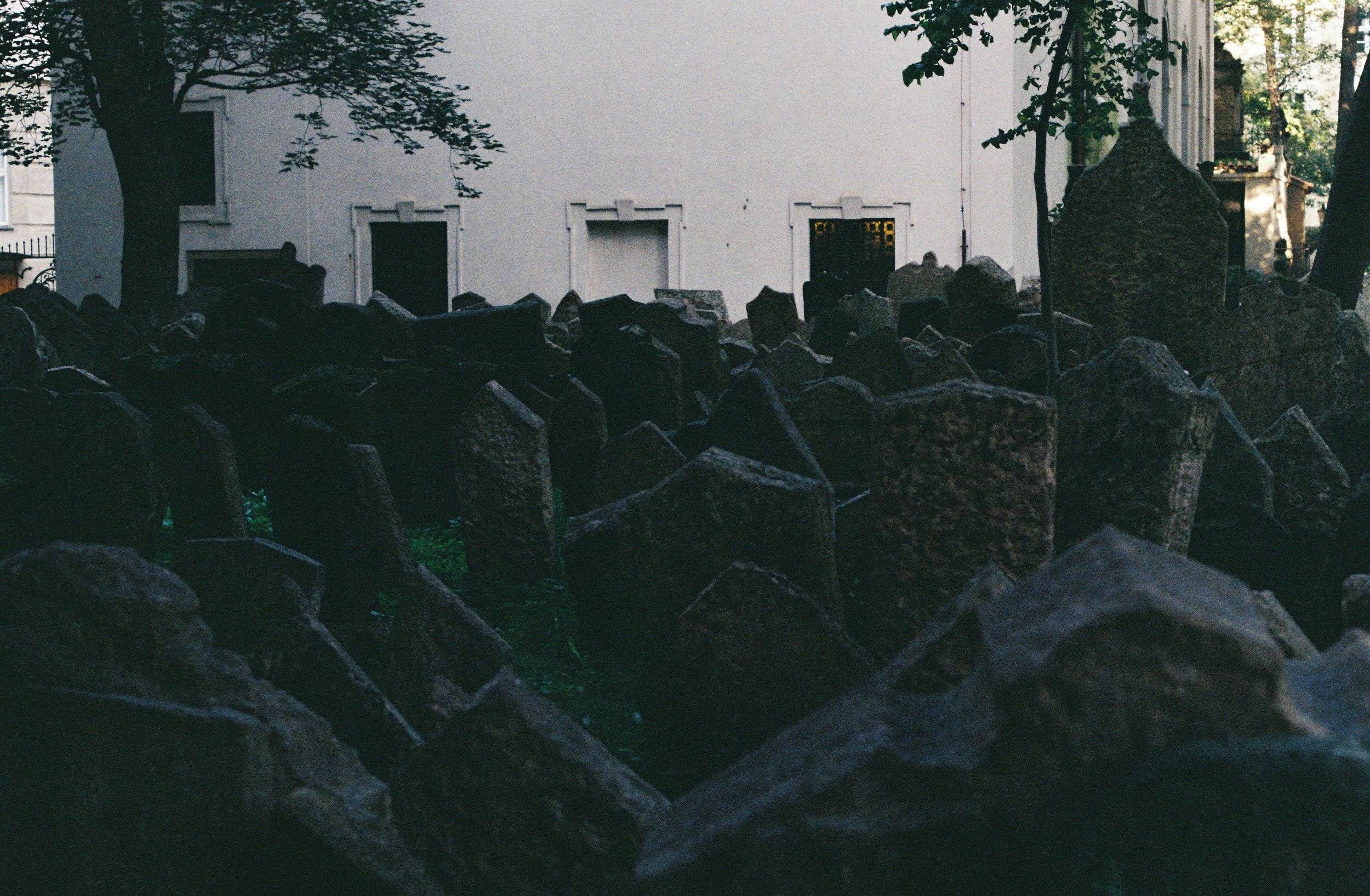 000026.JPG