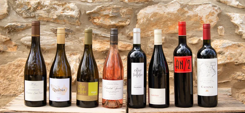 3.30 - 3.31 Wine Tasting