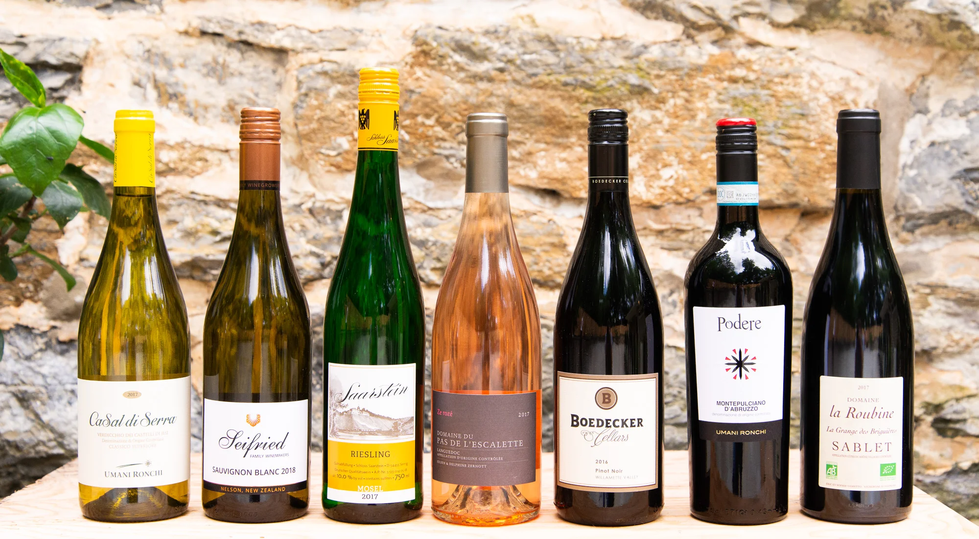 6.22 - 6.23 Wine Tasting