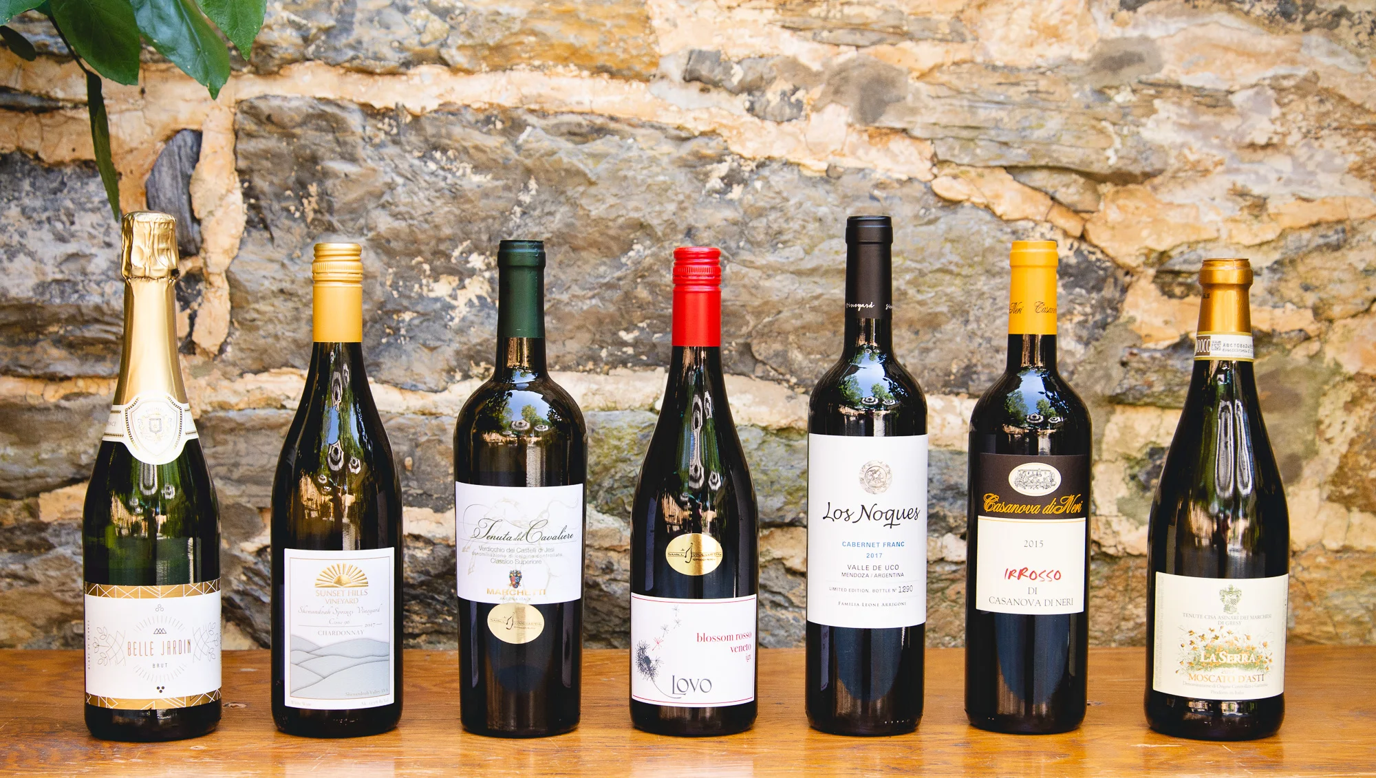 8.3 - 8.4 Wine Tasting