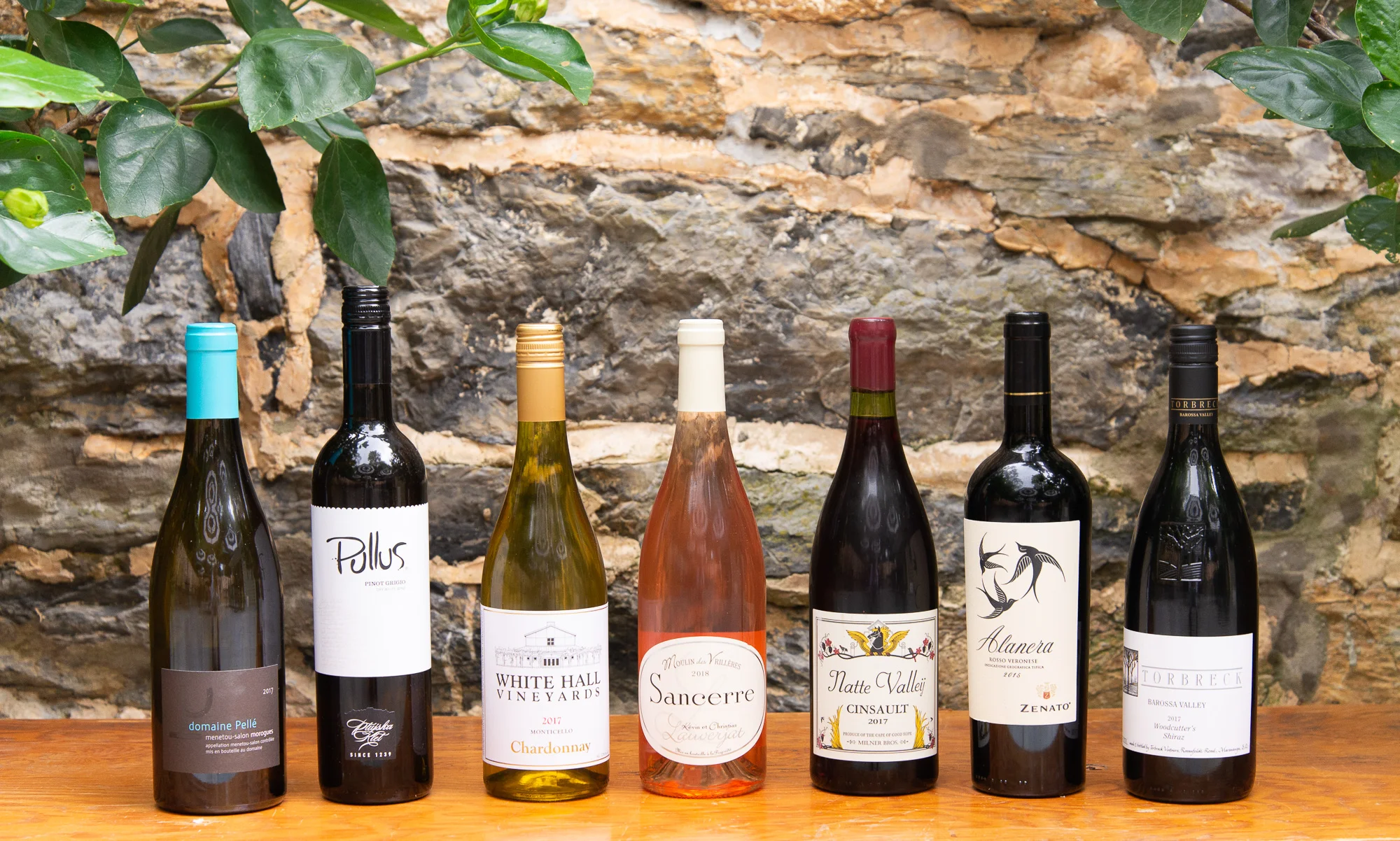 8.17 - 8.18 Wine Tasting