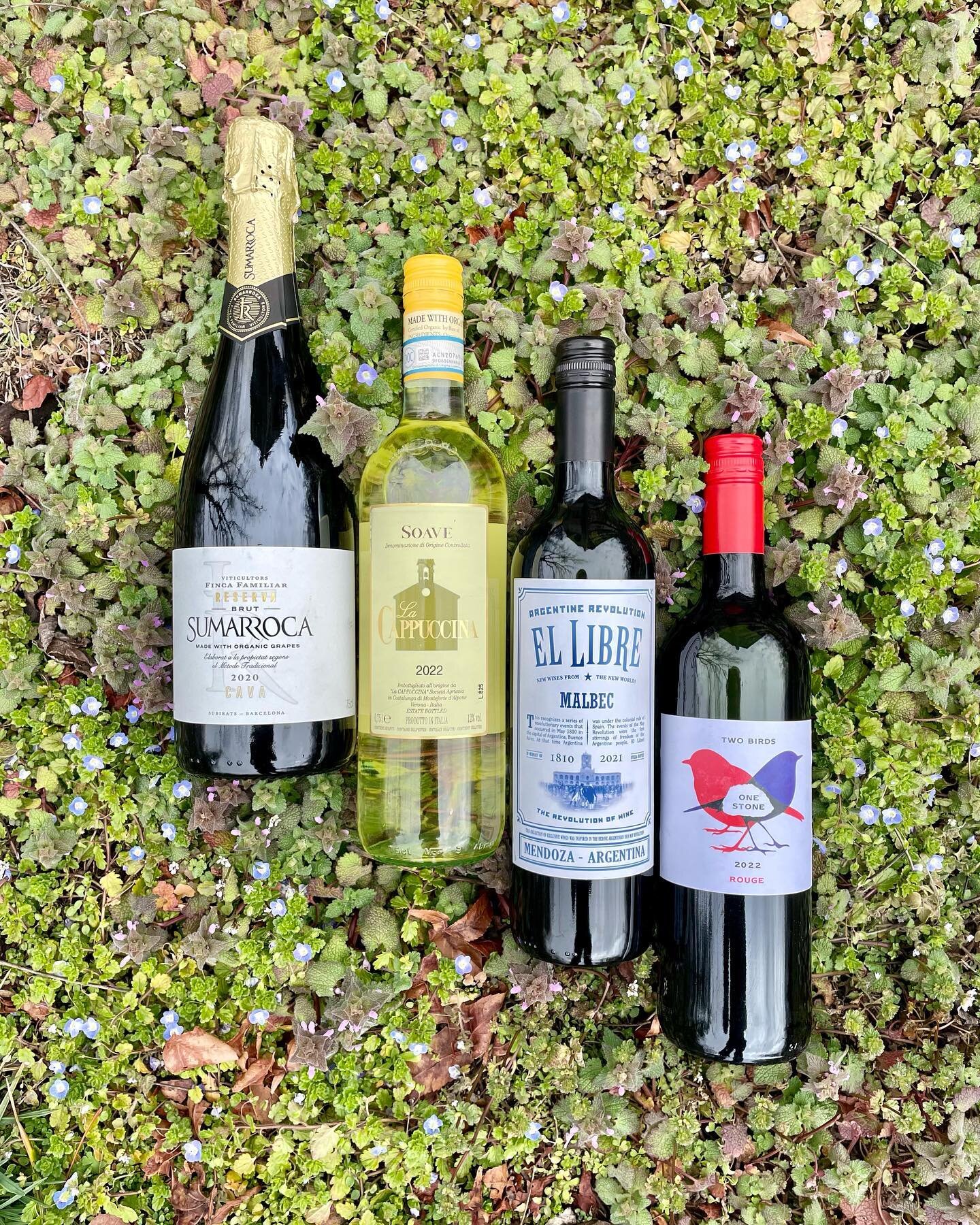 Want to brighten up this upcoming rainy Saturday? Stop by Locke Store and try these delicious wines, all under $20!  We&rsquo;ll also be pouring Founders All Day IPA for you to try, all between 12 and 3pm. 

We hope to see you there!