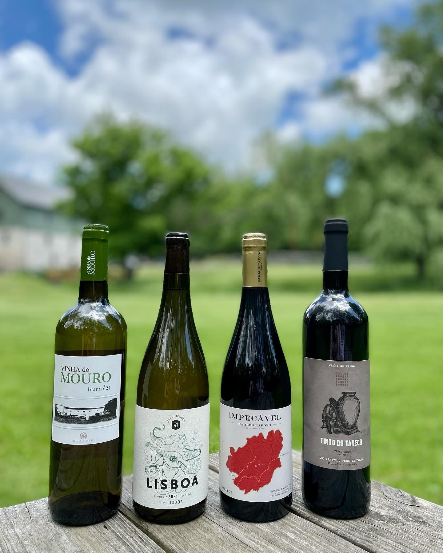 Kevin Lewis from Le Storie will be at Locke Store tomorrow pouring these delicious wines from Portugal! Stop by from 12-3pm and taste these incredible values!
