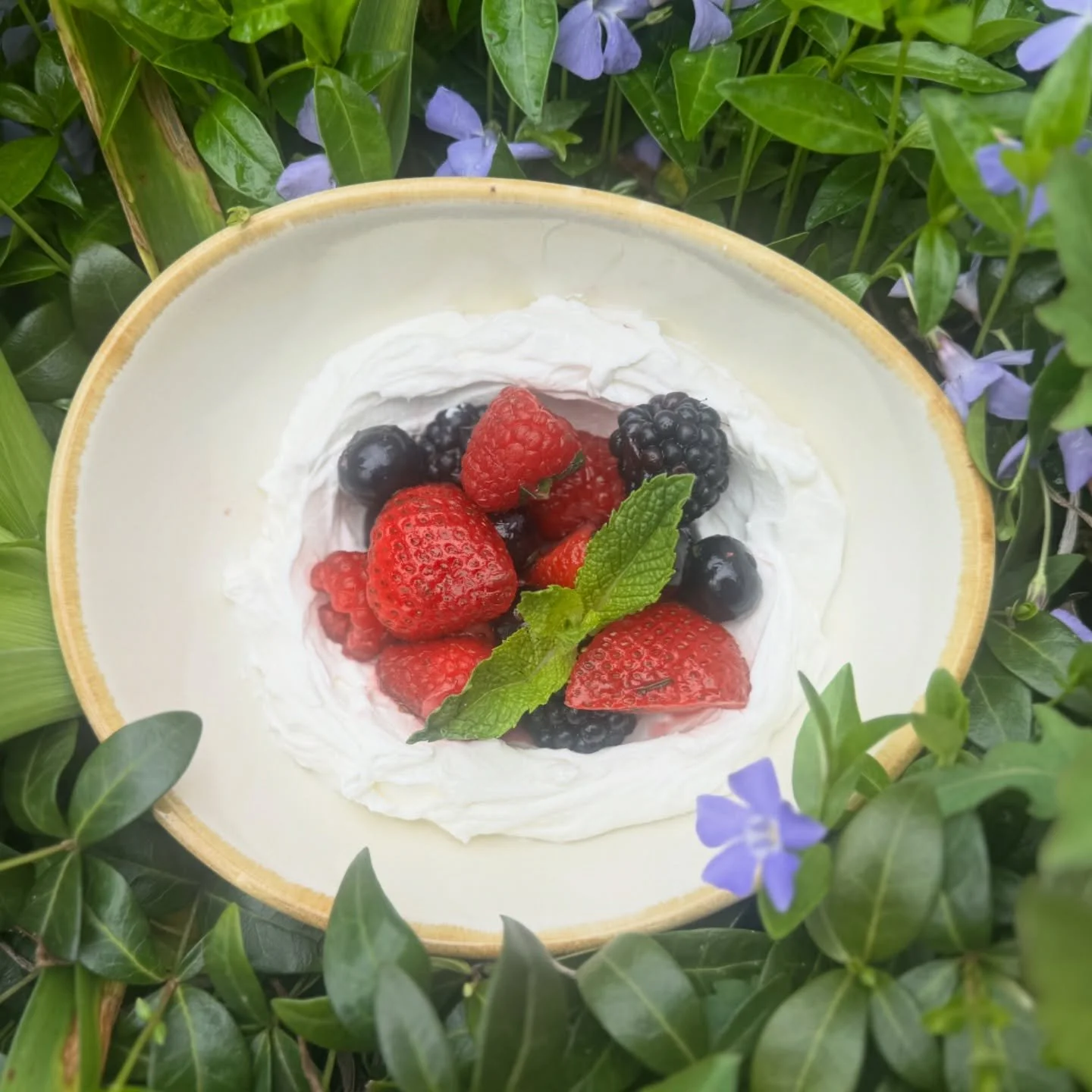 Mixed Berries + Greek Yogurt = The yummiest springtime snack 🍓🌿🫐