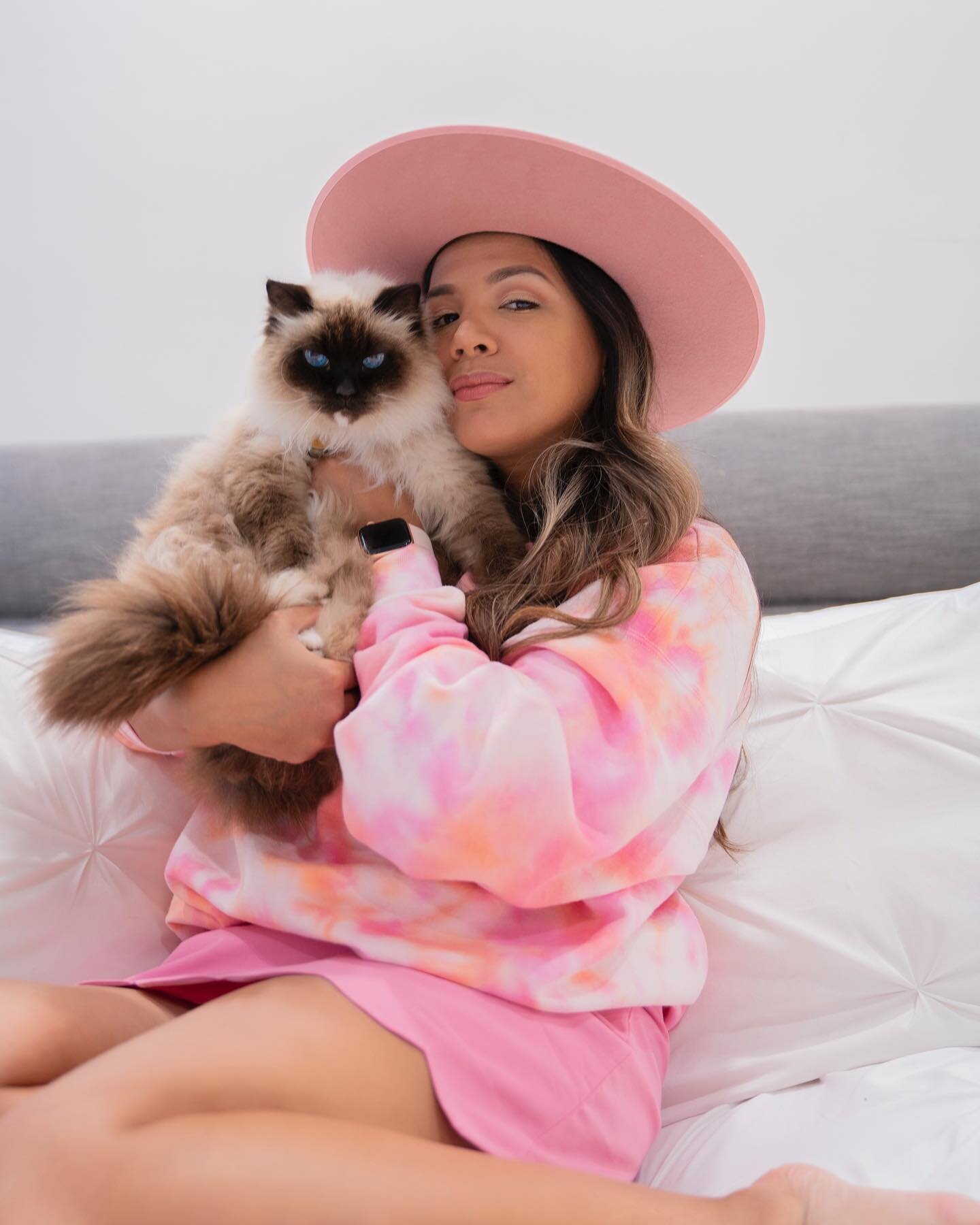 Mi princesa lleg&oacute; 🐈 les comparto mi felicidad🎉. 
&bull;
Hace un a&ntilde;o decidimos mudarnos desde Miami a Los Angeles-California, no pudimos traer a nuestras mascotas hasta que nos estabilicemos.
&bull;
Ayer en la noche despu&eacute;s de 1