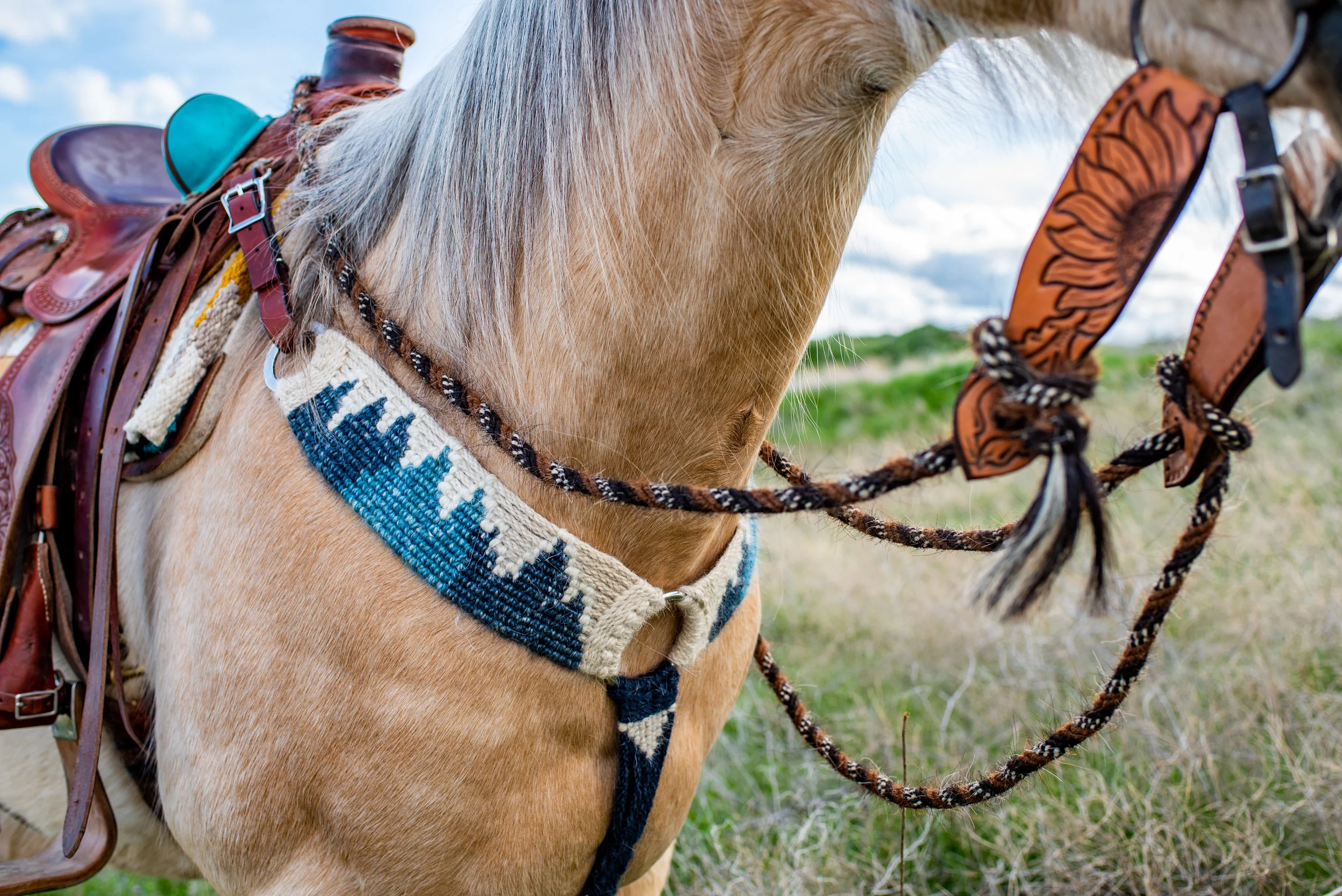 6140FDD1-33B5-42B3-B749-97D57096DAA3