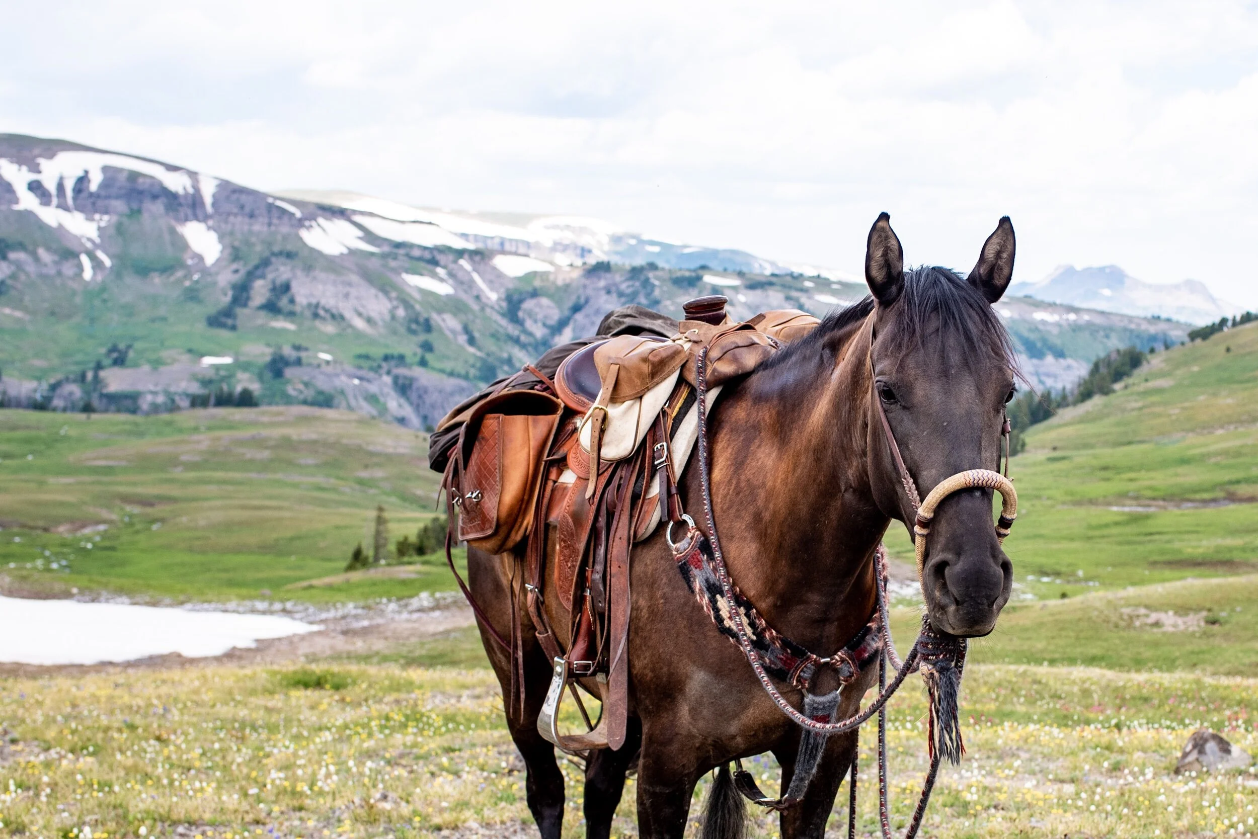 694C6067-EB45-4599-9033-CD6ED8ED2DA6