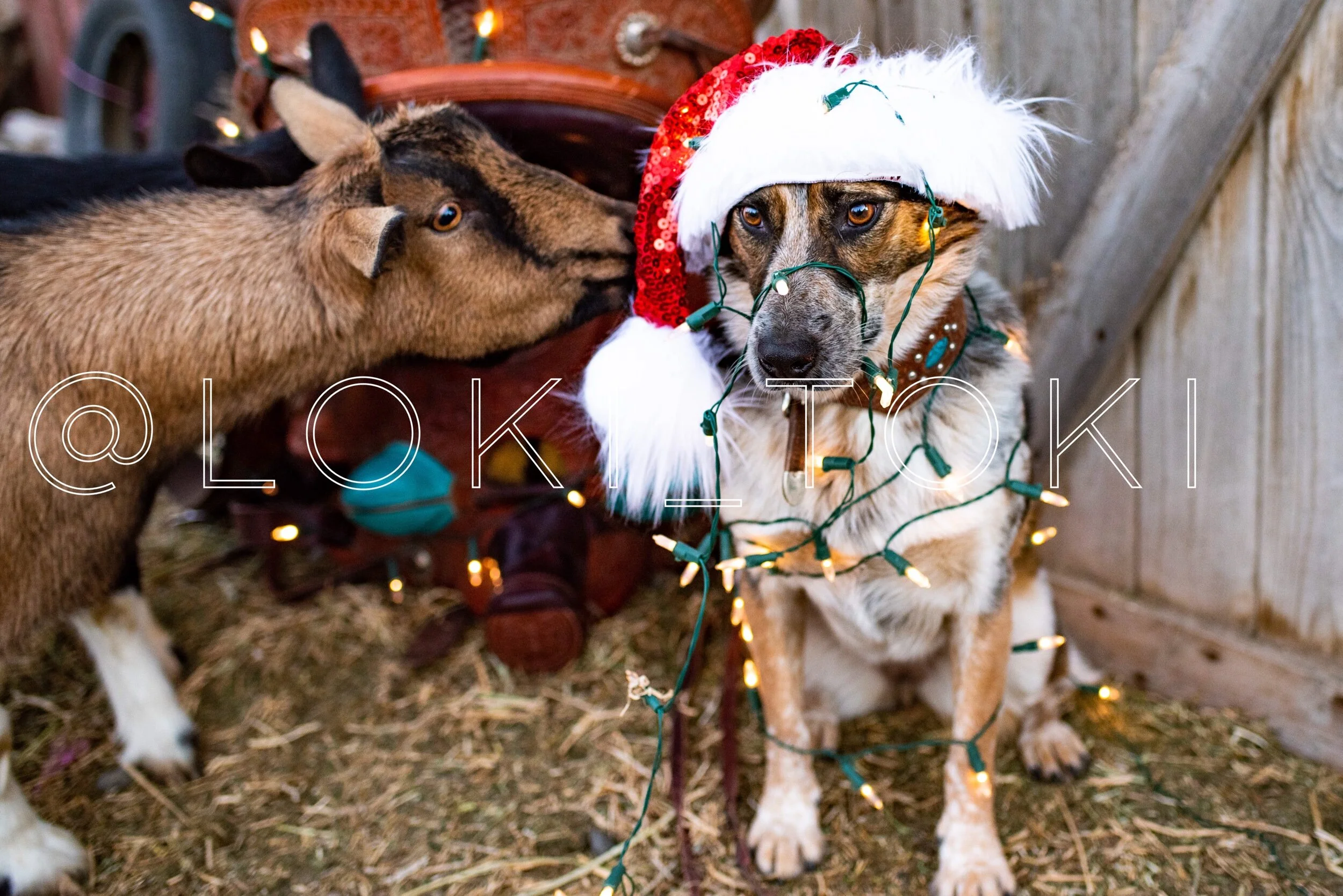 39FB4259-F261-4C7C-9C62-8AE4604D9C95