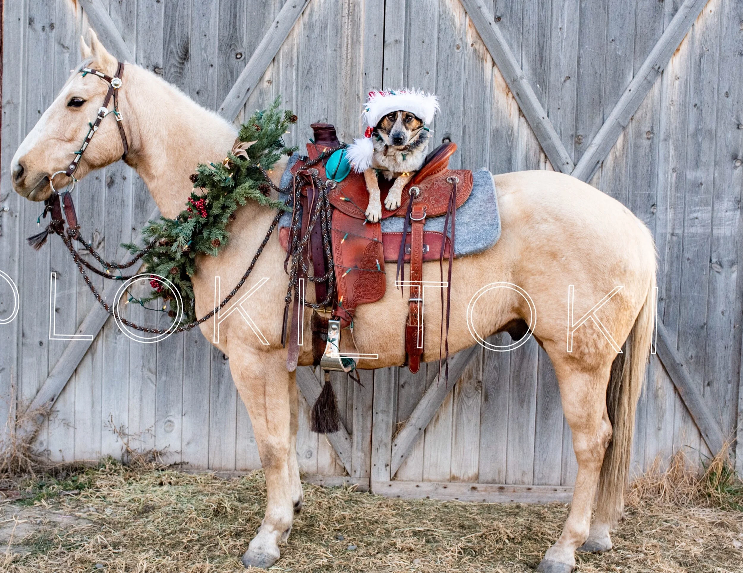 7AECC506-D9AE-4F56-9B76-7E2EBF9F52D9