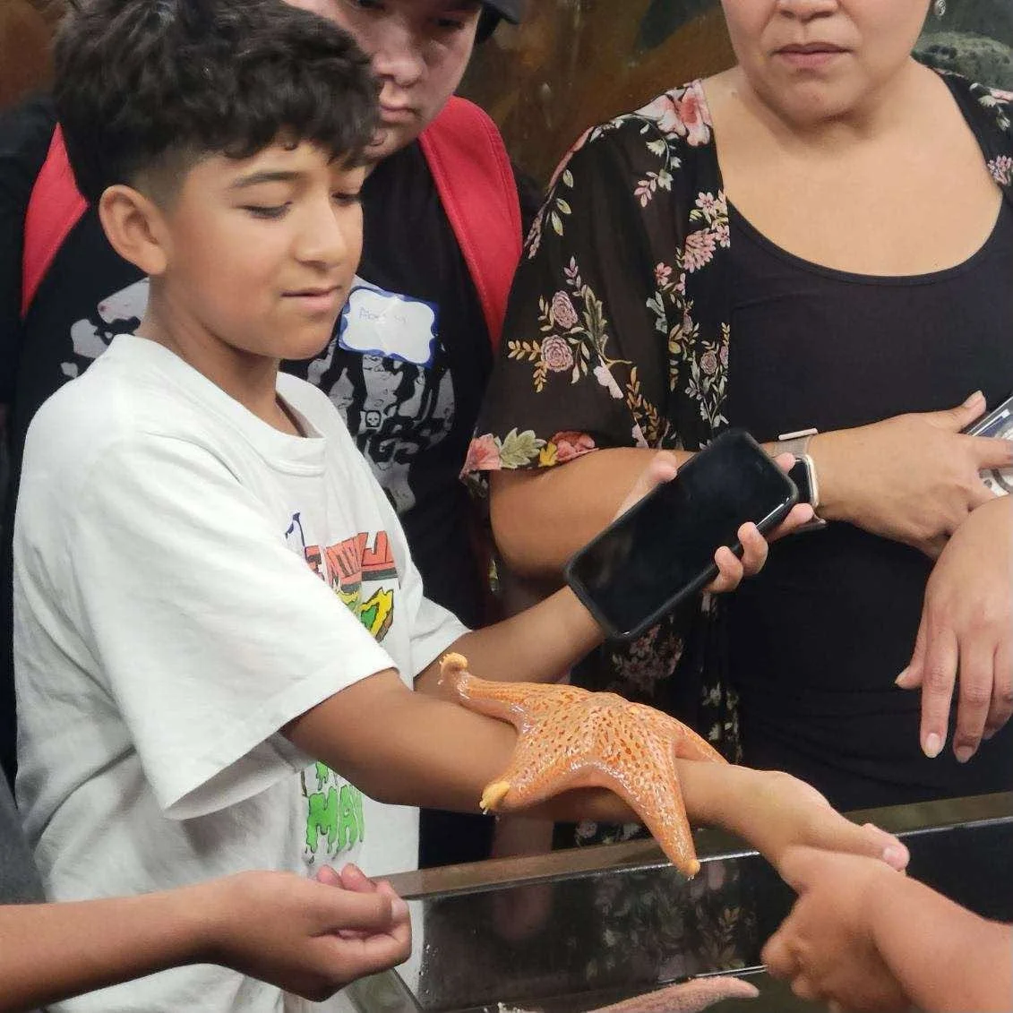 A student observes a sea star resting on their forearm beside a touch tank.