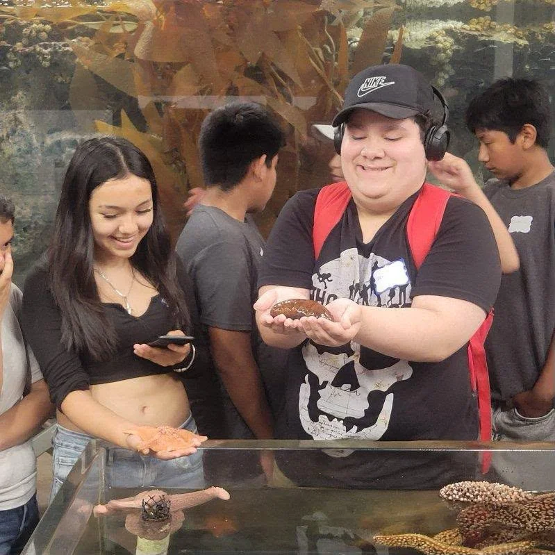 Students hold marine animals above an aquarium touch tank during a summer-school visit.