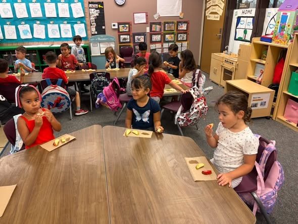 Rio Vista TK students graph their favorite kinds of apples.