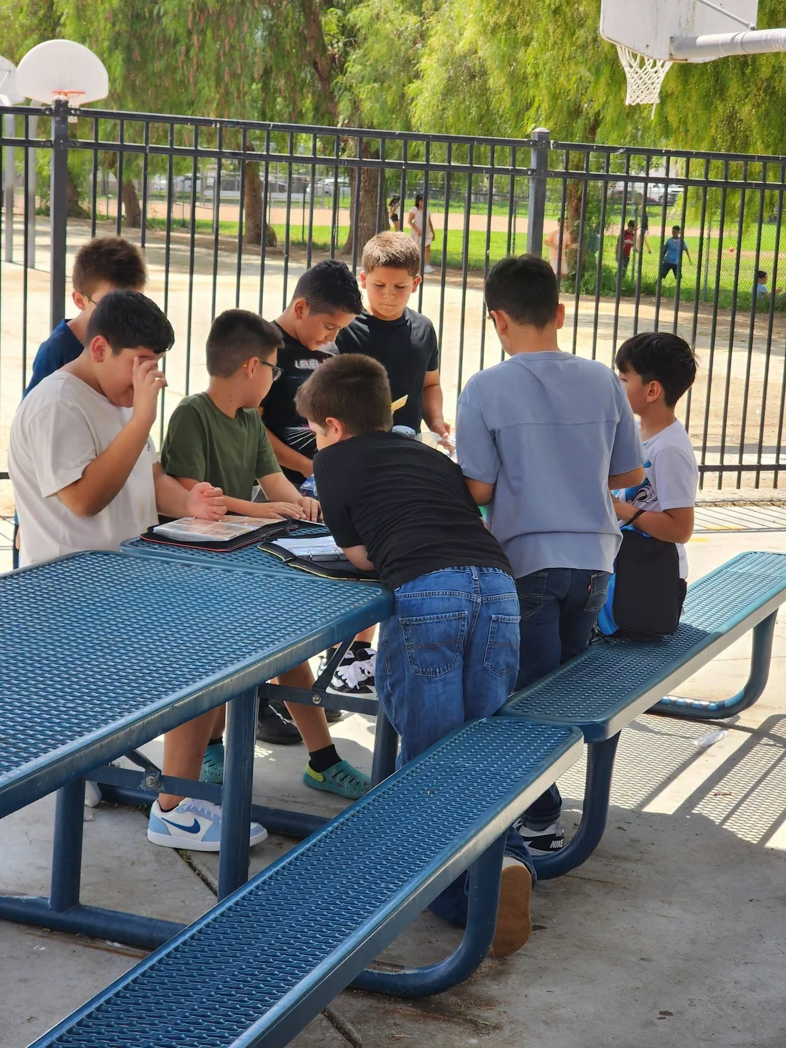 A group of students gathers around open Pokémon card binders beside the playground.