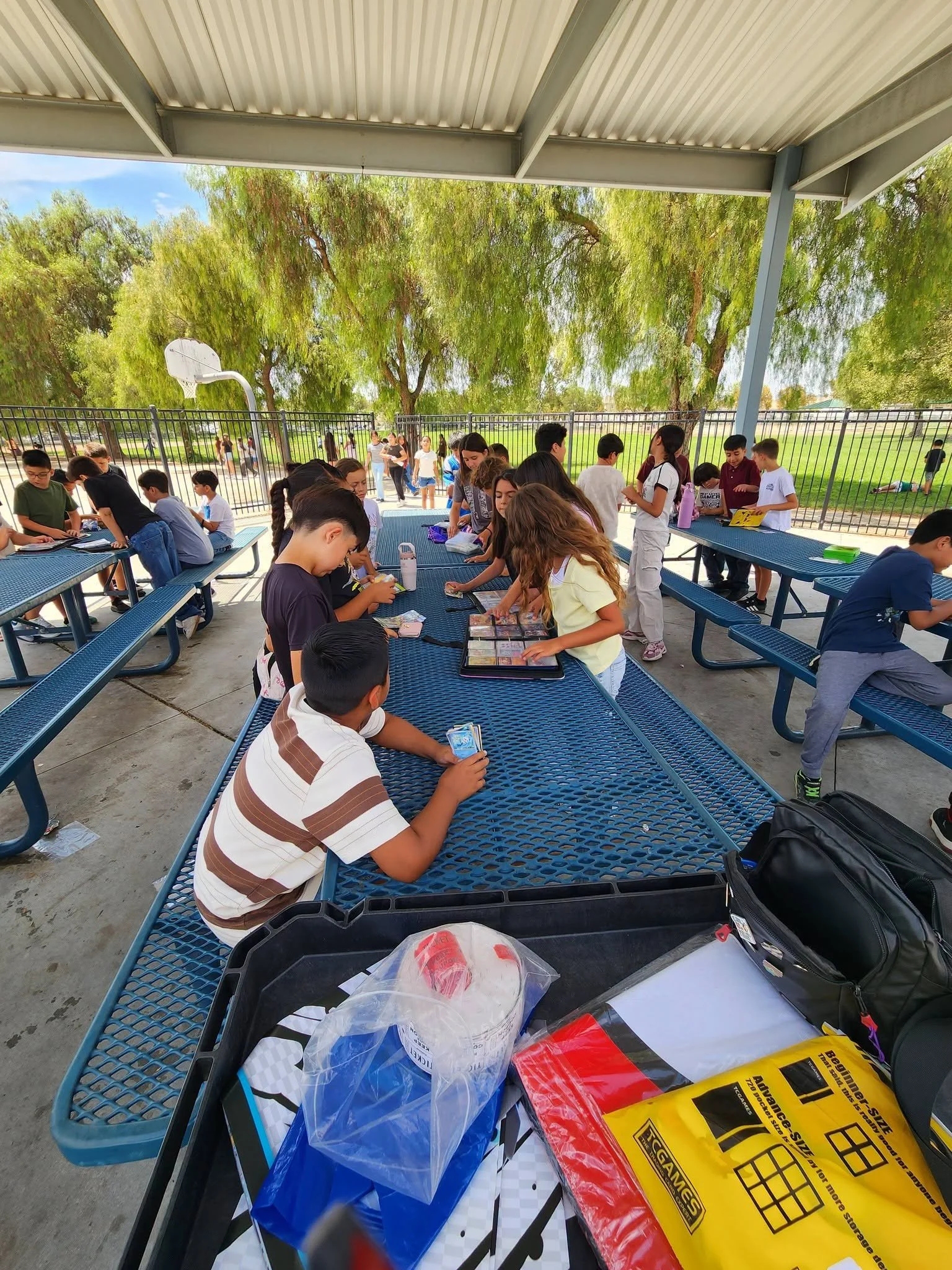 Students gather across several shaded picnic tables to trade Pokémon cards.