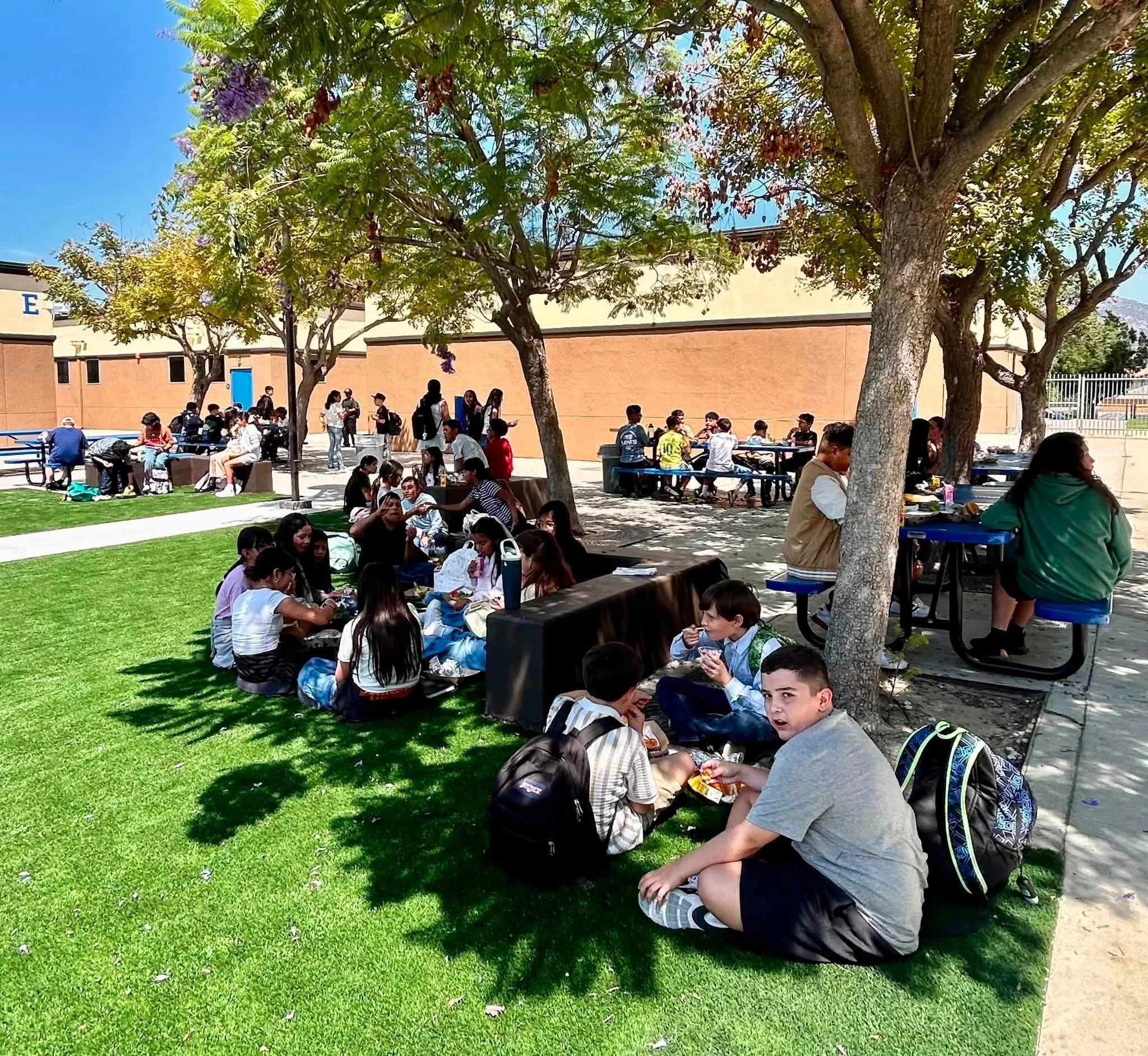 Students enjoy lunch on the lawn and shaded picnic tables.