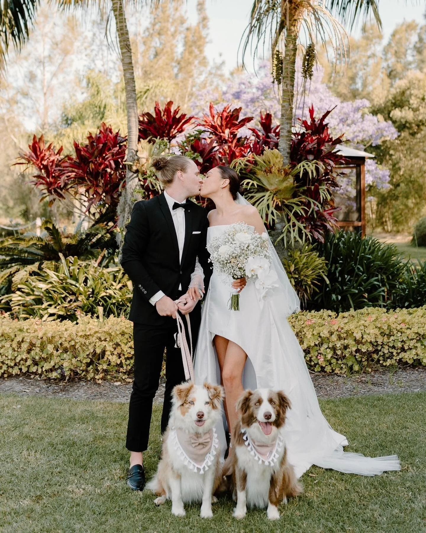 Kheely + Jake 🫶🏻 with their fur babies, Malibu + Oakley 🐶 ⁣
⁣
Venue:⁣ @heavengardensweddings 
Videography: @wildwood_cinematic⁣
Photography: @for_modernromantics⁣
Celebrant: @howseyourday 
Florals &amp; Styling:⁣ @augustbloom_huntervalley 
Hair &a