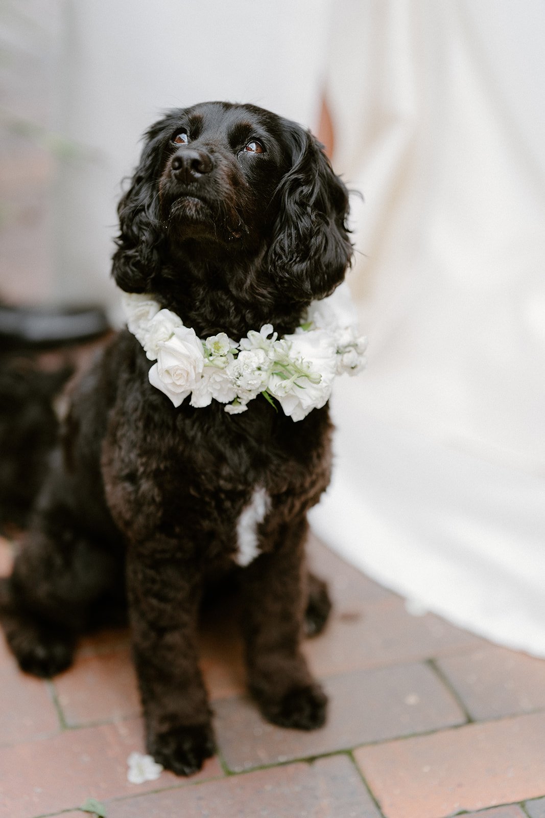 Ashlee and Julian's Wedding Photos-218_websize.jpg