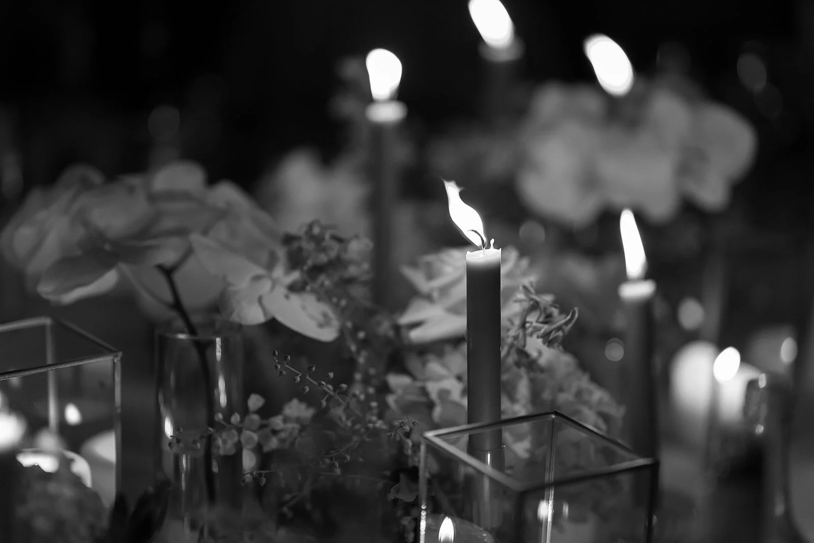 Dan + Belle_s Wedding Photos-1026_websize.jpg