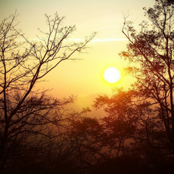 sun.png