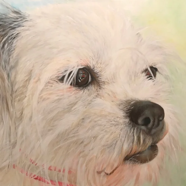 Pet Portrait-Sold