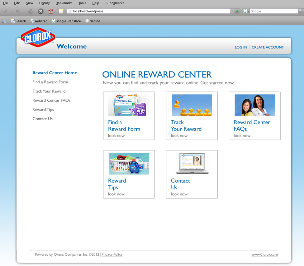 clorox-landing-page.png