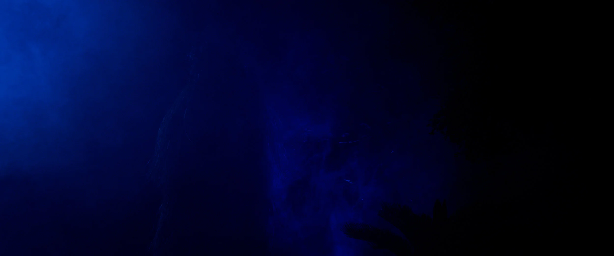lurking in darkness.jpg