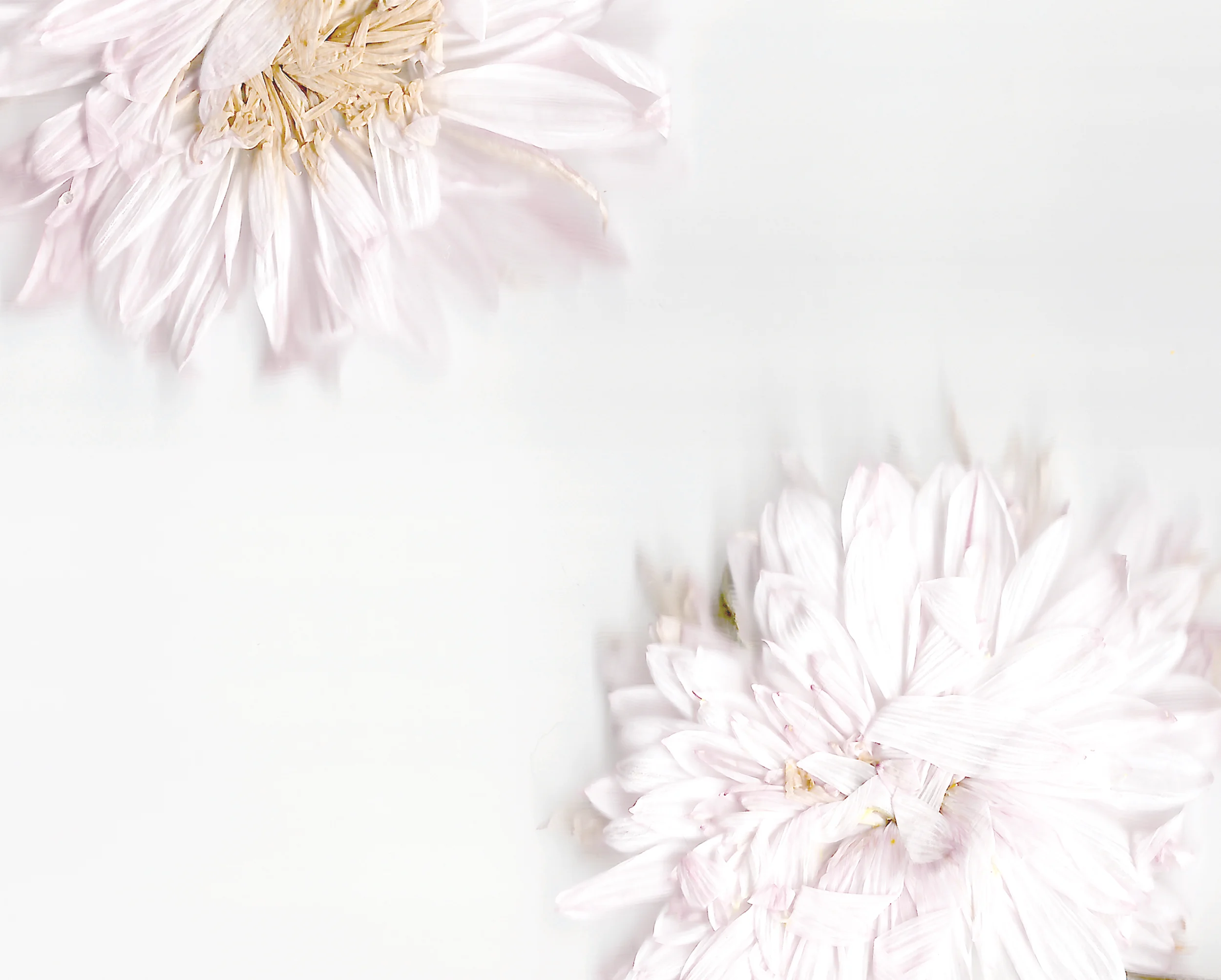 hayley-roberts-photo-design-art.jpg