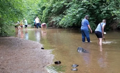 20180614_104058_smaller cropped.jpg