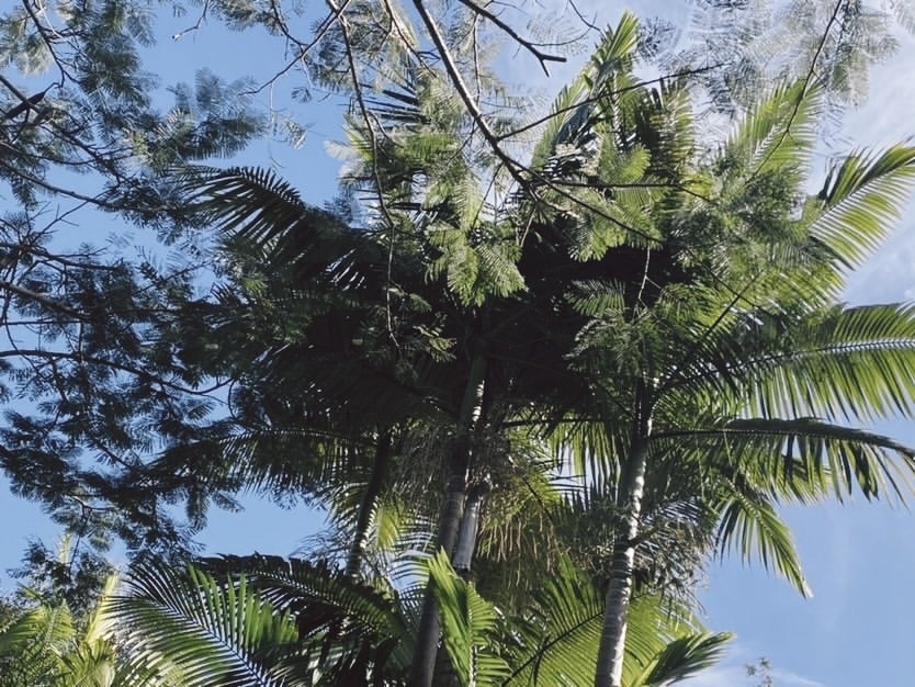 629B6A97-1D27-4DB8-B6F9-023143BA2C4D Edited.JPG