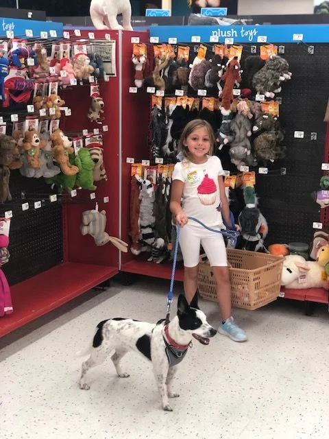 It's Never a Simple Trip to the Store 