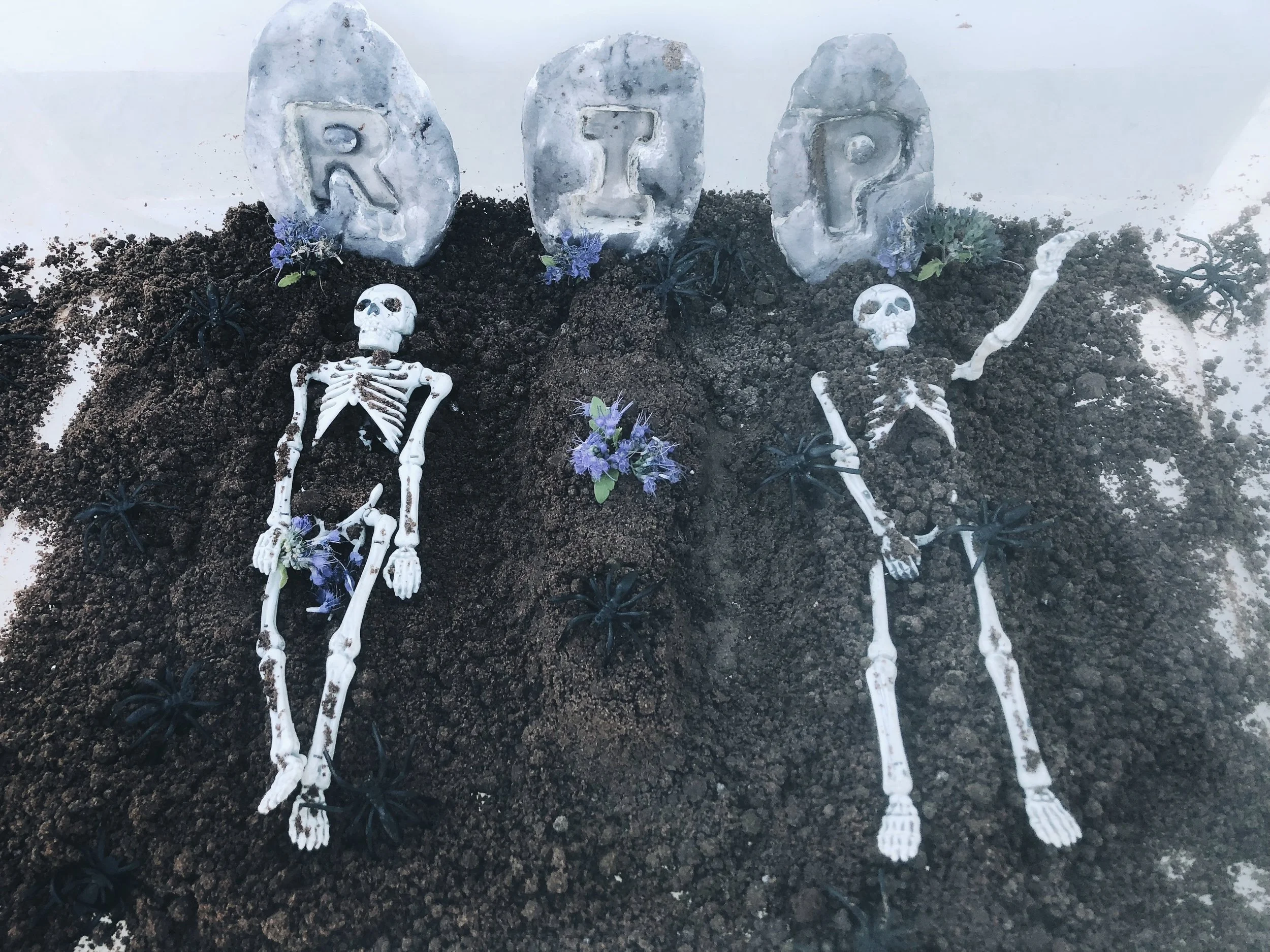 My sister told me this activity was a bit “morbid” haha, but thanks to the new movie, “Coco” my girls thought the skeletons were awesome! I found the mini skeletons in the Halloween section at Target (I think these are the same ones, but not totally positive). I was so excited when I saw them, and knew they would be the perfect addition to my vision!