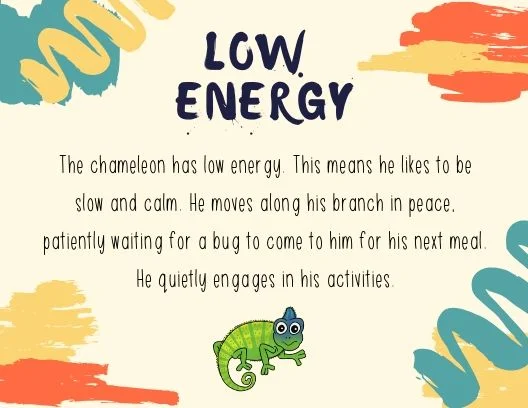 Energy Check (1).jpg