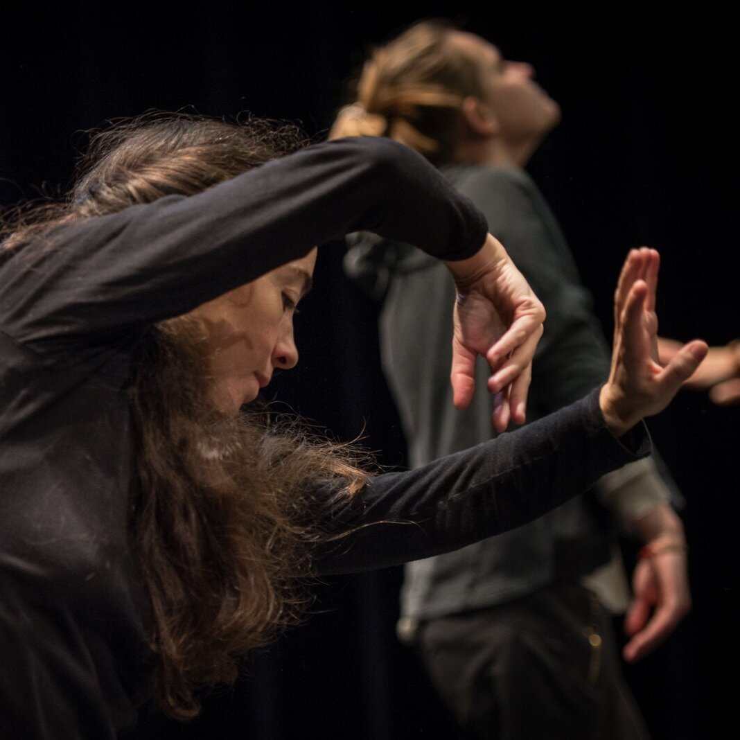 Introduction to Dance Movement Therapy - Codarts