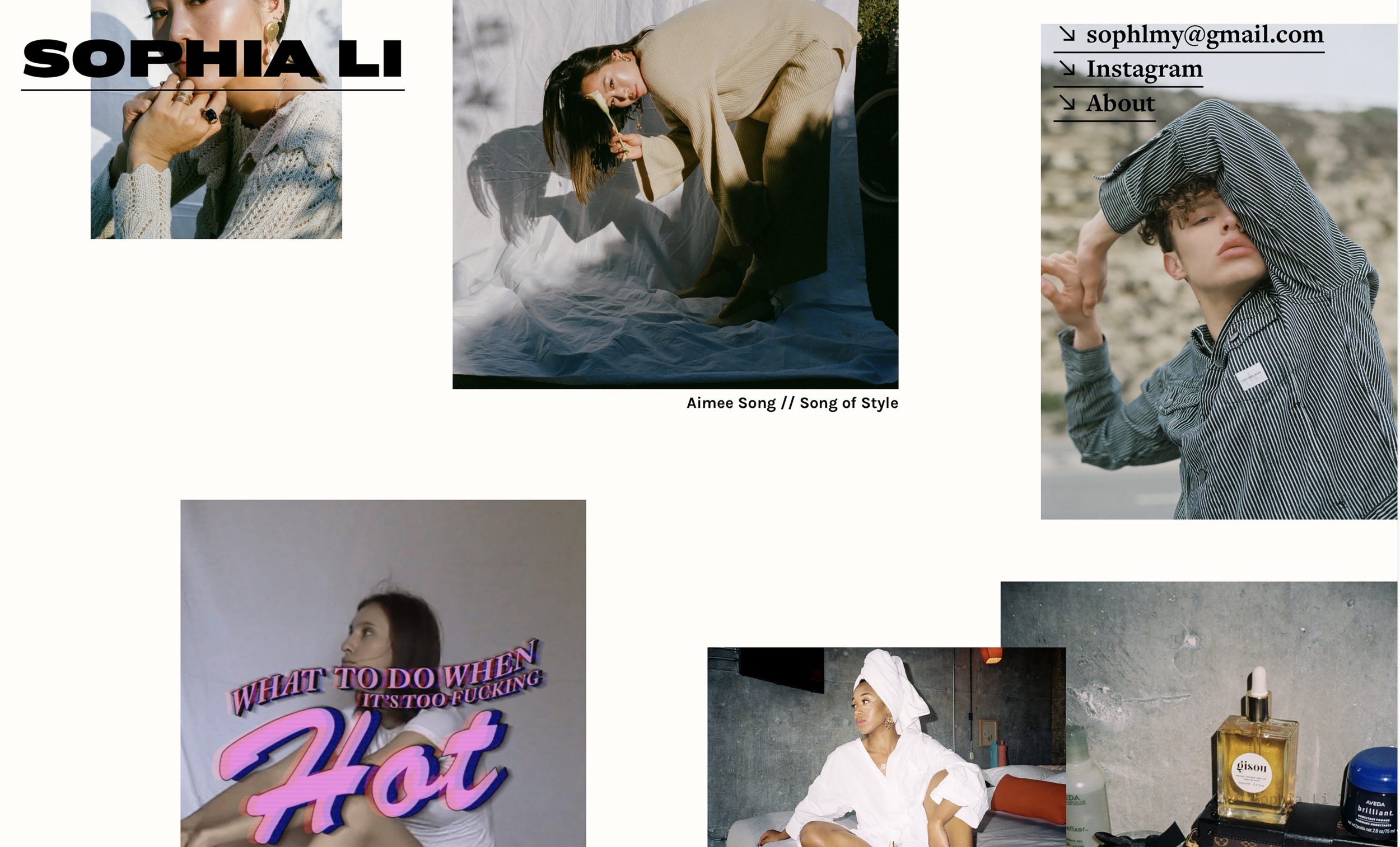 Li’s website