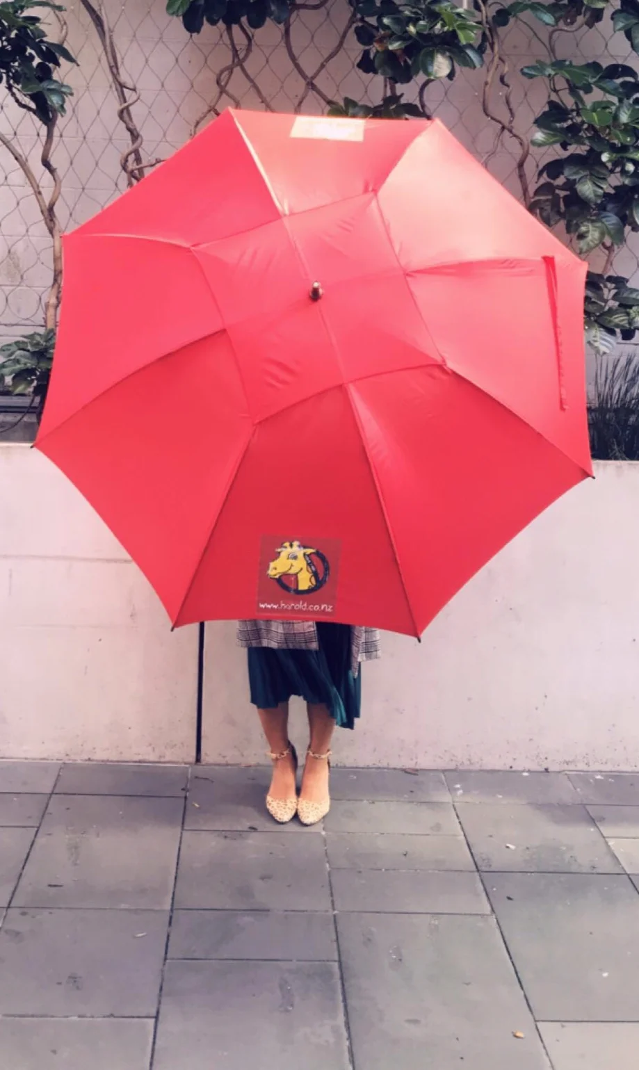 Umbrella2.jpg
