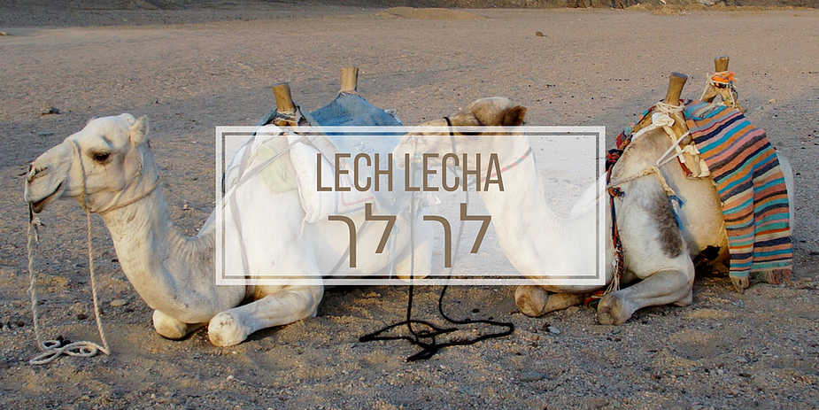 LECH LECHA.png