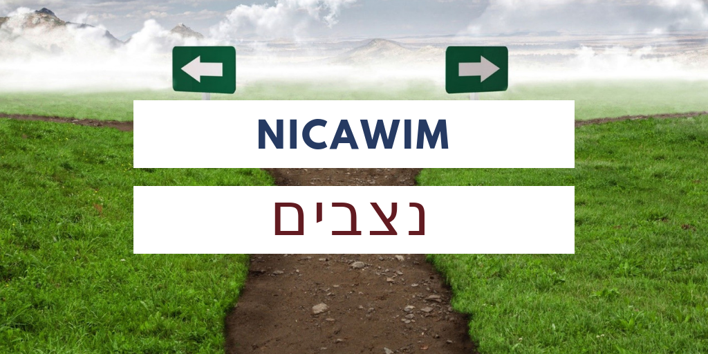 dewarim (5).png